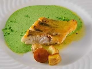 Zander mit Grüner Sauce 